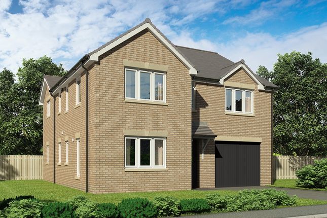 Thumbnail Detached house for sale in "The Stewart Df - Plot 167" at Gyle Avenue, South Gyle Broadway, Edinburgh