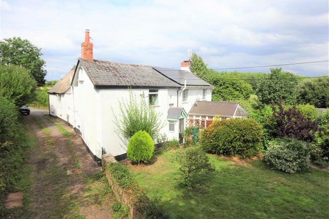 Thumbnail Cottage for sale in Bouchers Cottages, Poltimore, Exeter