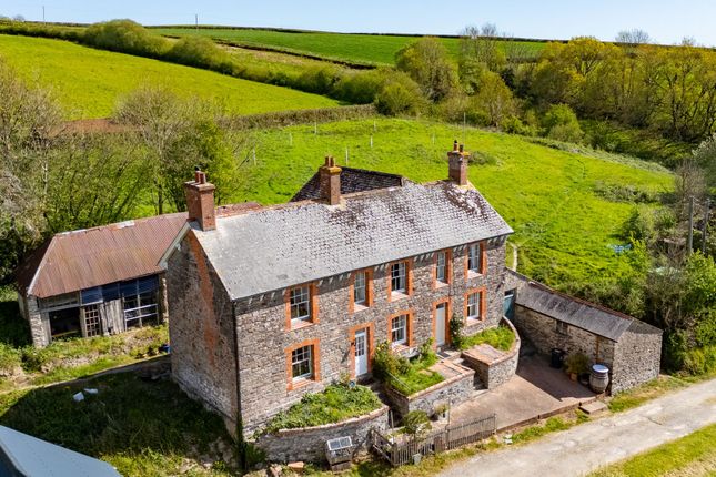 North Hayne Farm, Tiverton photo 4