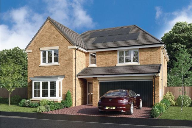 Detached house for sale in "The Denford" at Elm Avenue, Pelton, Chester Le Street