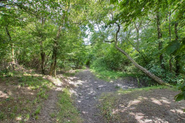 Land for sale in Lodge Hill Lane, Chattenden, Rochester