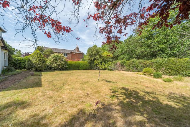 Lansdown Cottage, 21, Cheapside, Surrey photo 4