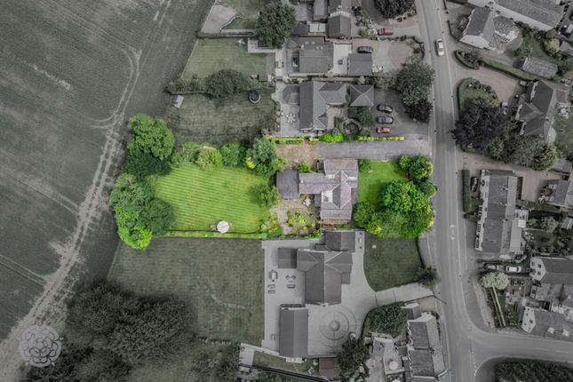 Oak Tree Farm, 11 Lord Street, Warrington photo 4