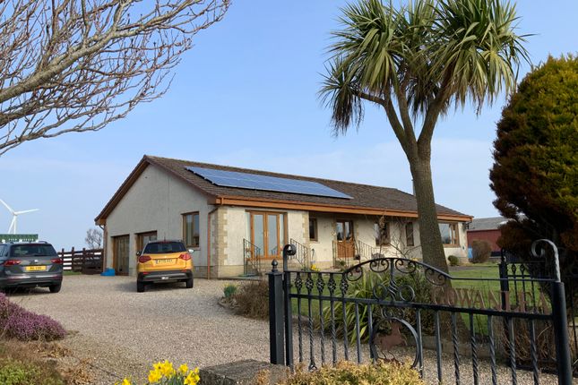 Thumbnail Country house for sale in Gowanhill, Near Fraserburgh