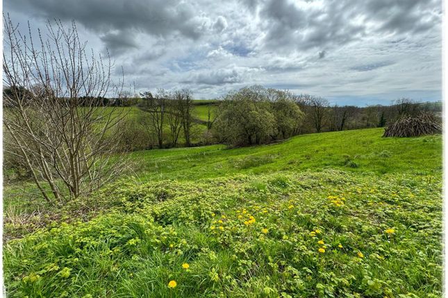Land for sale in Cynwyl Elfed, Carmarthen, Carmarthenshire
