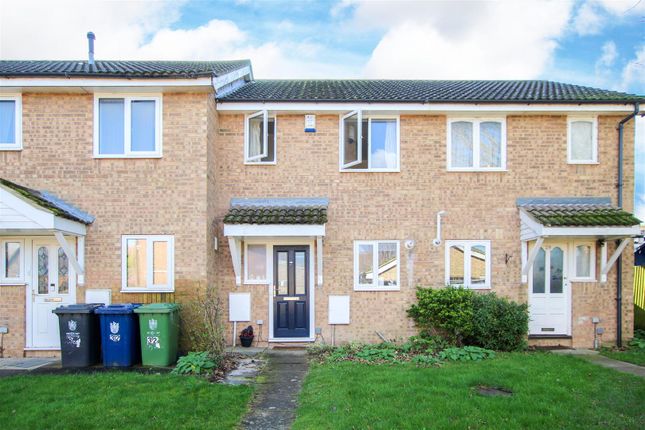Thumbnail Terraced house to rent in Harebell Close, Cherry Hinton, Cambridge