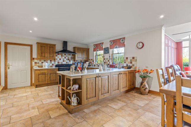 7, Appleacres, Norwich photo 4