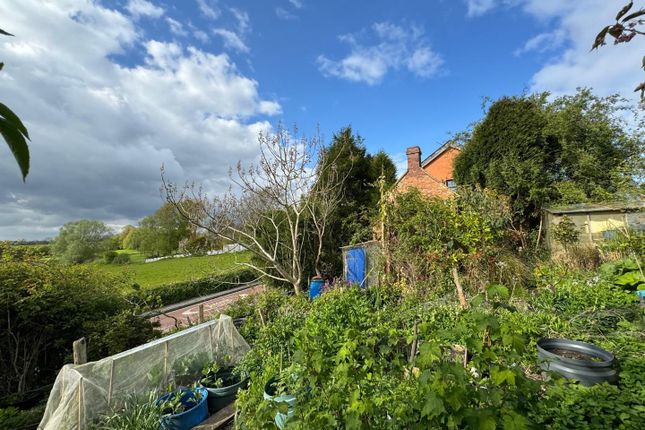 Semi-detached house for sale in No Onward Chain Cottage, Pluckley, Kent