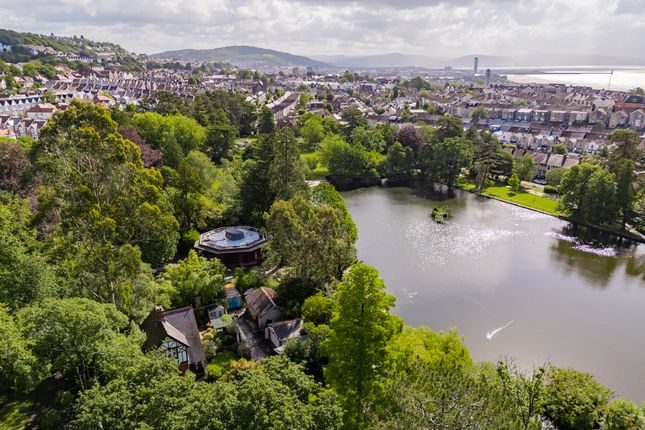 The Lodge, Brynmill Park, Swansea photo 3