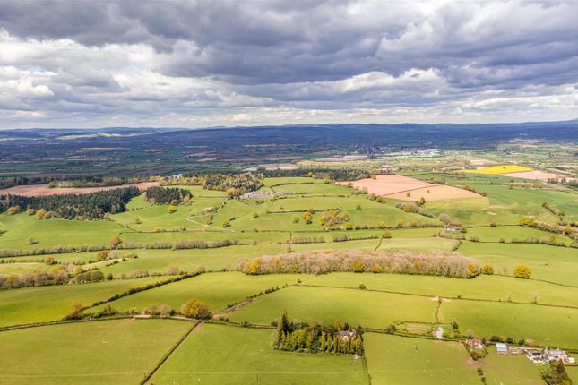 Dji_0290-Pano-Edit.Jpg