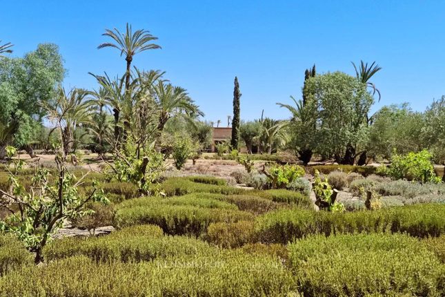 Villa for sale in Marrakesh, Palmeraie, 40000, Morocco