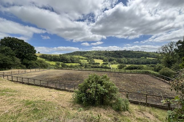 Coed Hirion, Talley, Llandeilo photo 2