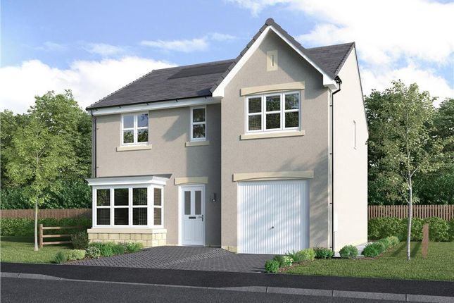 Thumbnail Detached house for sale in "Maplewood Detached" at Muirhouses Crescent, Bo'ness
