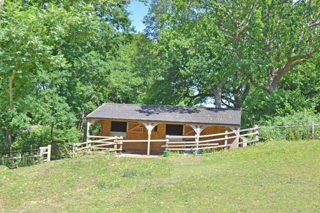 Waydown Cottage, Clayton Hill, Pyecombe photo 2