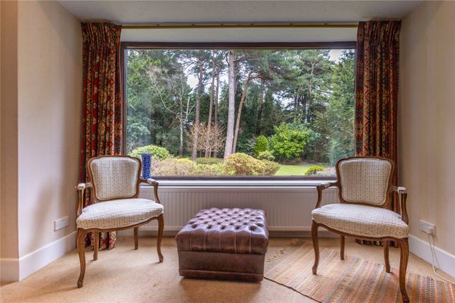 15, Spencer Road, Dorset photo 4