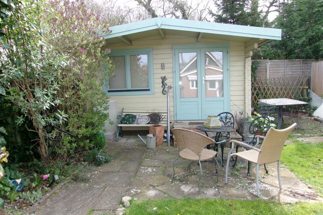 Detached bungalow to rent in Dargate Road, Yorkletts, Whitstable