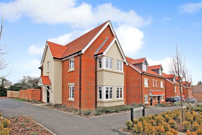 Front External