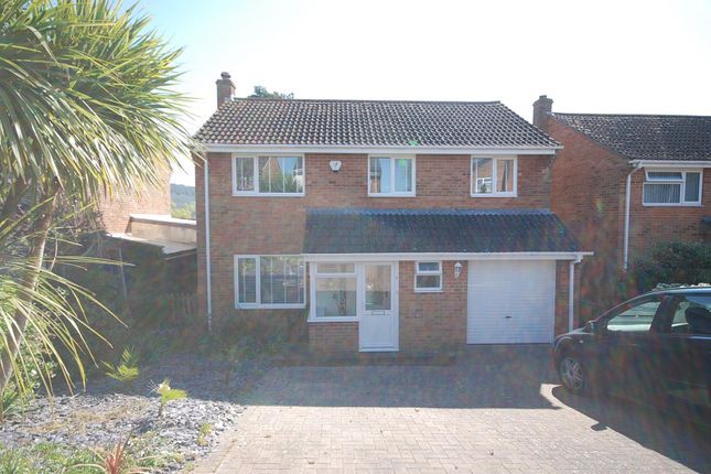 Thumbnail Detached house to rent in Hillymead, Seaton