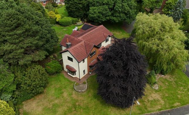 Dji 20250630142752 0054 D