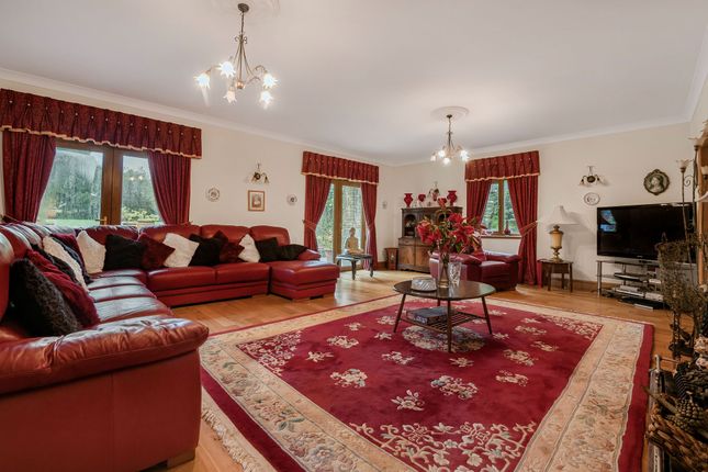 Bryngower House, Swansea photo 3