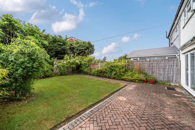 Rear Garden Angle 3