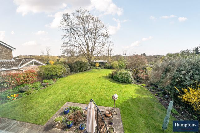 16, Cranford Drive, Holybourne photo 2