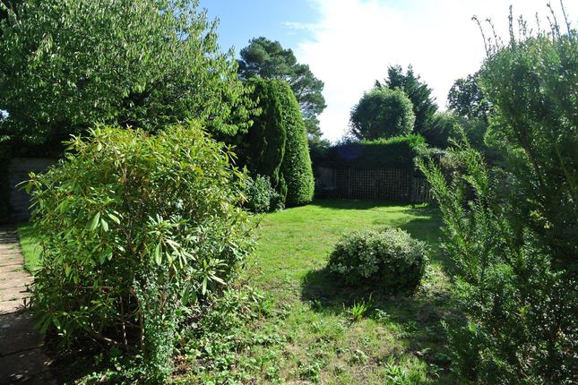 Tolverne, Station Road, Chobham photo 4