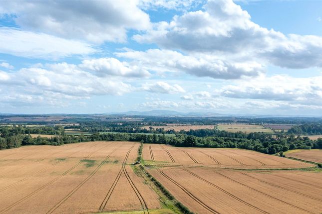 Whitelaw, Old Greenlaw, Berwick-Upon-Tweed photo 4
