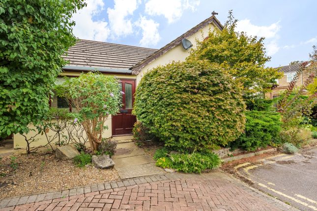 Thumbnail Bungalow for sale in Hollow Close, Guildford