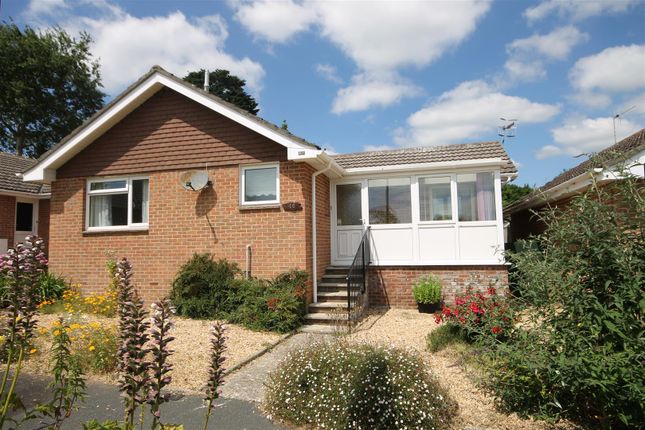 Thumbnail Detached bungalow to rent in Ashley Way, Brighstone, Newport