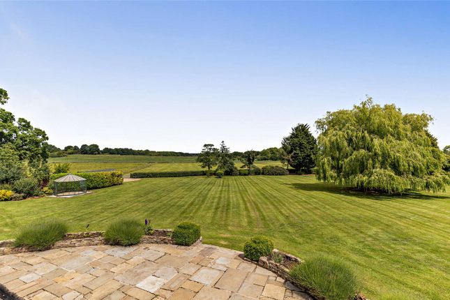 Garden And Views