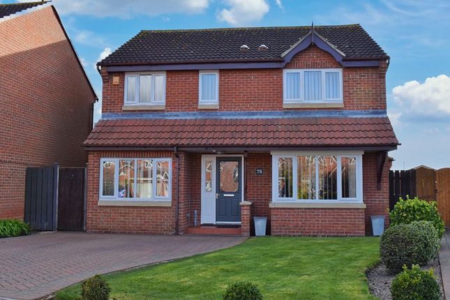 Thumbnail Detached house for sale in Moore Close, Claypole, Newark