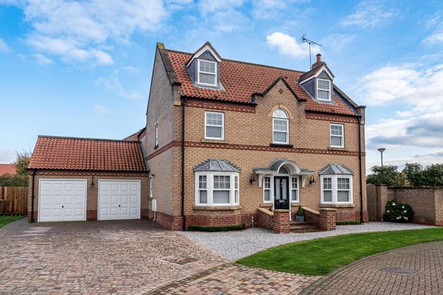 Thumbnail Detached house for sale in The Meadows, Brandesburton, Driffield