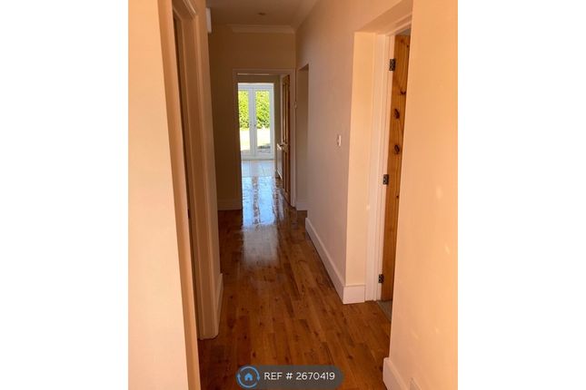 Hallway (Now Painted White)