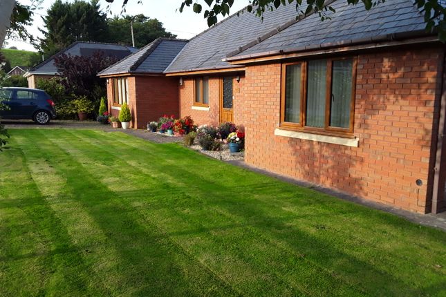 Bungalow for sale in Rosemary Drive, Powys, Tregynon, Newtown