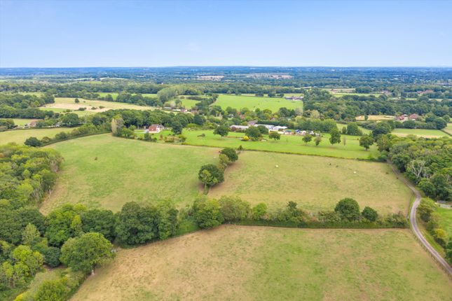 Kirdford, Billingshurst photo 3