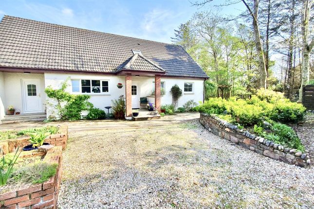 12 Coast, Inverasdale, Poolewe