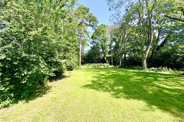Amberwood,, May Avenue, Hampshire photo 2