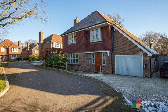Thumbnail Detached house for sale in Watermead, Balcombe, Haywards Heath