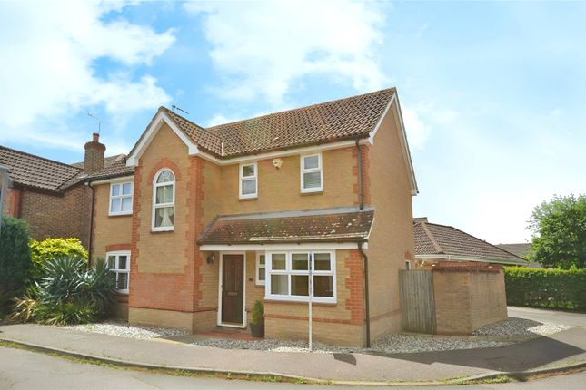 Thumbnail Detached house to rent in Pavitt Meadow, Galleywood, Chelmsford, Essex