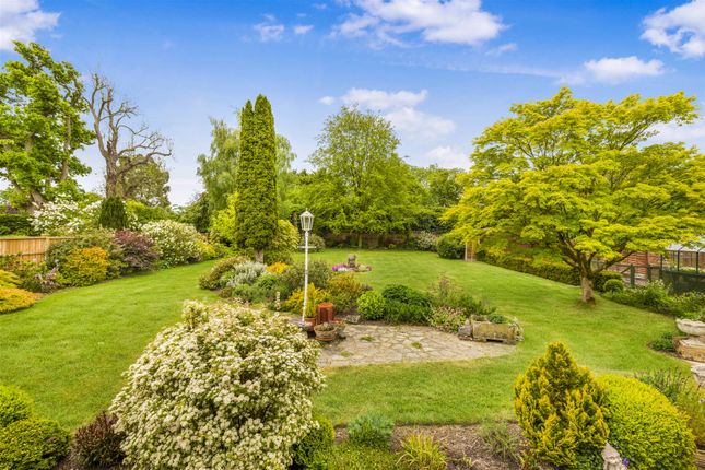 Teesdale, Bullocks Lane, Bishop's Stortford photo 4
