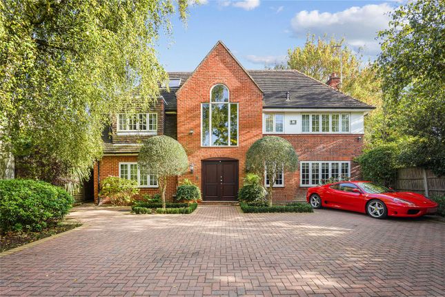 Thumbnail Detached house for sale in Milnthorpe Road, London