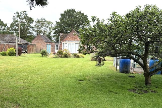 8 Tunneys Lane, Ditchingham, Bungay photo 4