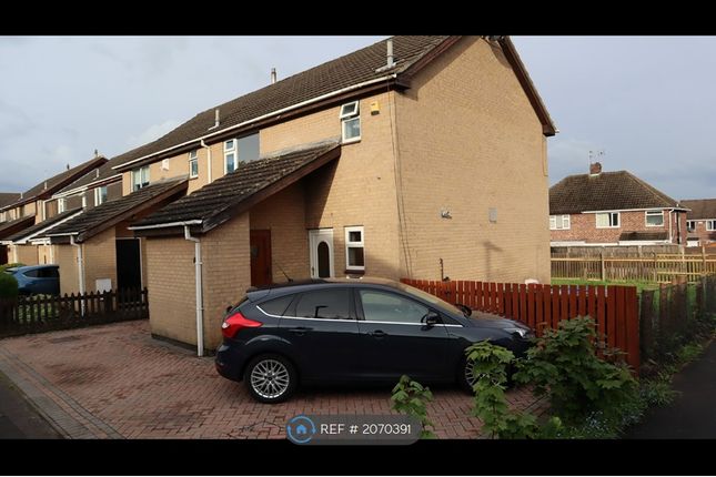 3 Bed 2 Bath Semi Detached