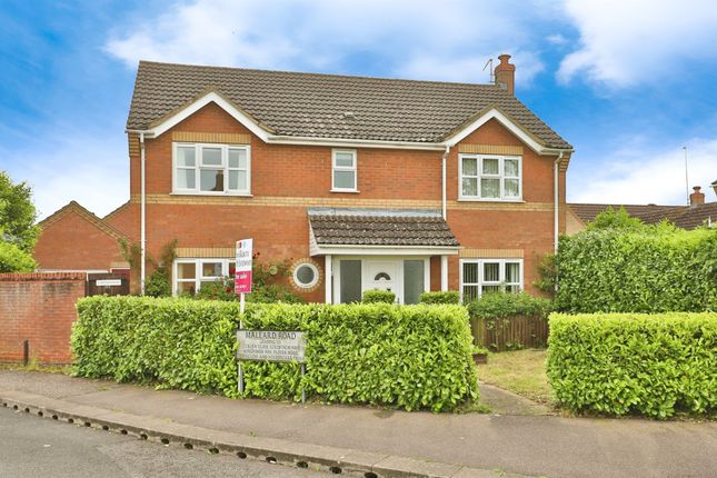 Thumbnail Detached house for sale in Brandon Road, Watton, Thetford