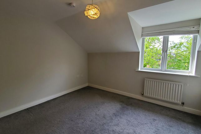 17, Louisville, Newcastle Upon Tyne photo 5
