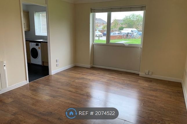 Thumbnail Flat to rent in Lupin Drive, Chelmsford CM1,