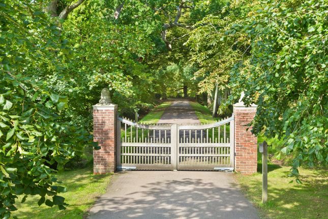 Entrance Driveway