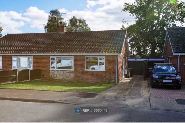 Cedar Avenue, Kesgrave, Ipswich photo 2