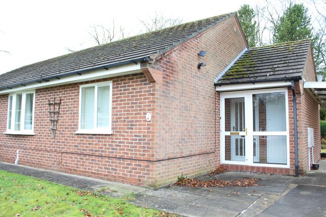 Semi-detached bungalow for sale in Holly Bank Close, Oakerthorpe, Alfreton, Derbyshire.